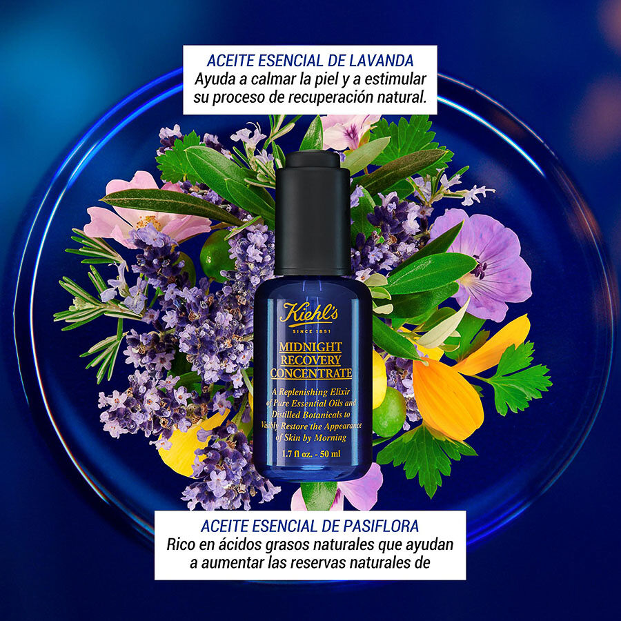 Midnight Recovery Concentrate