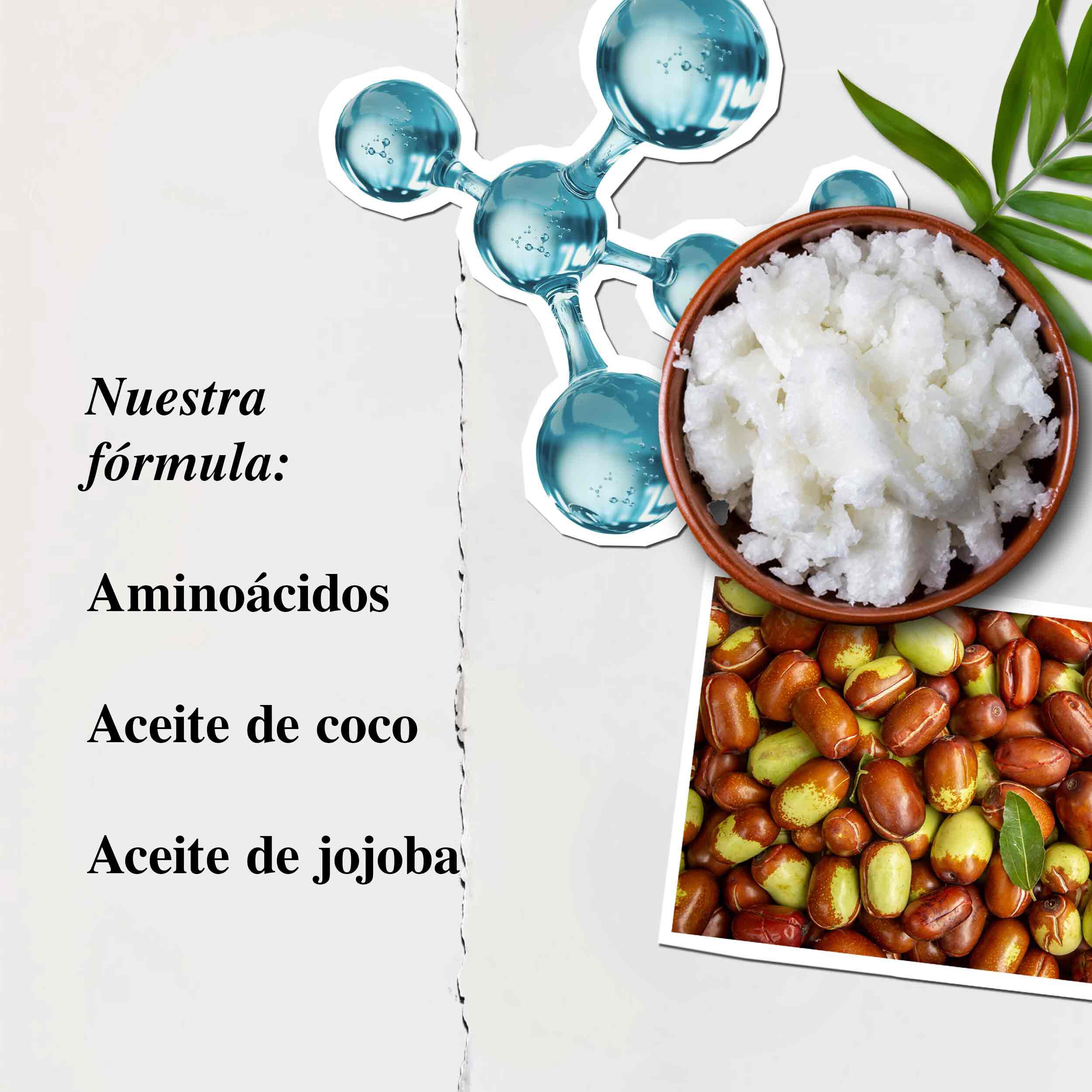Amino Acid Conditioner