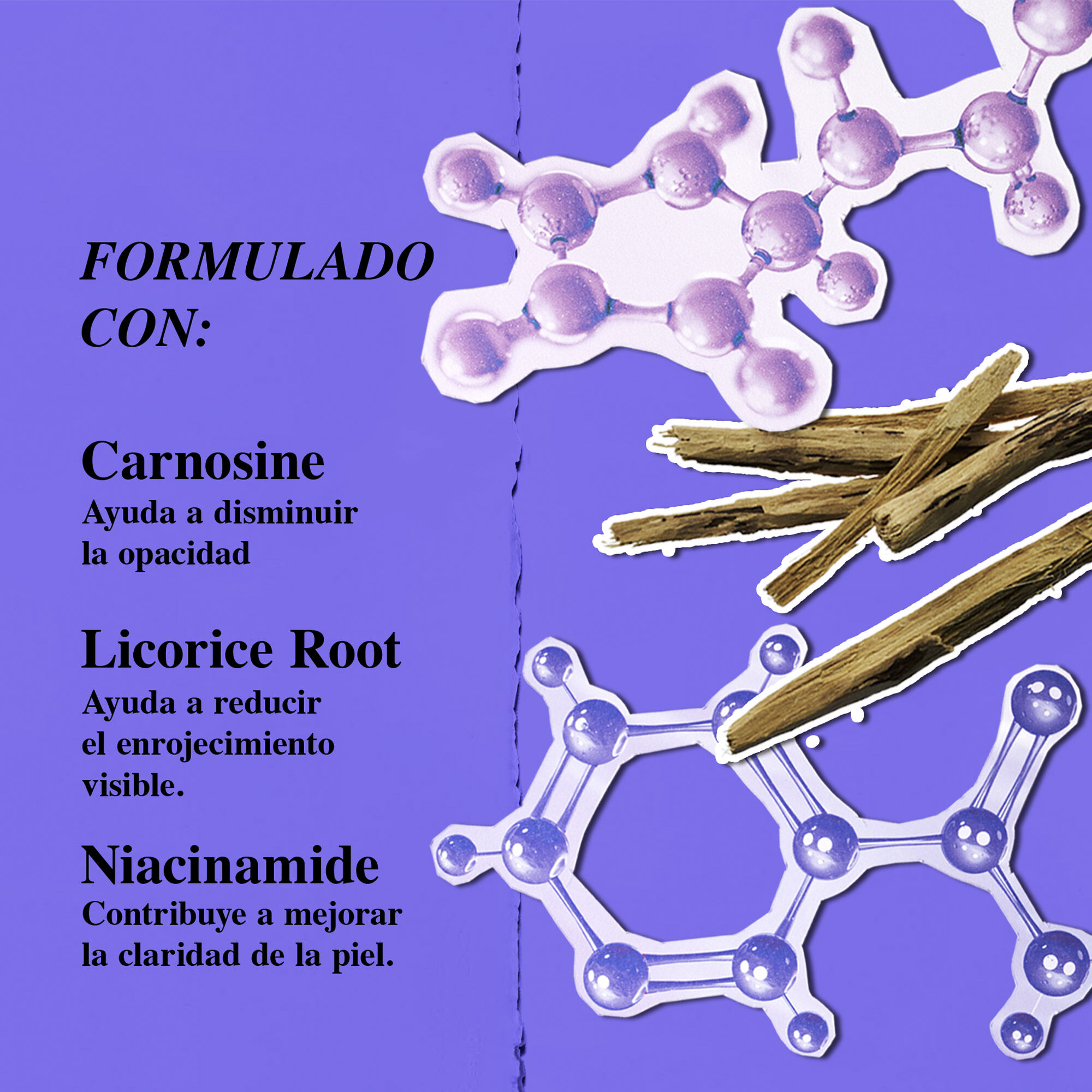 Ilustracion de ingredientes: Carnosina (para la opacidad), Raiz de Regaliz (para las rojeces) y Niacinamida (para la claridad).