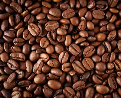 Ingrediente de Kiehl’s Cafeina