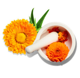Extracto de Calendula