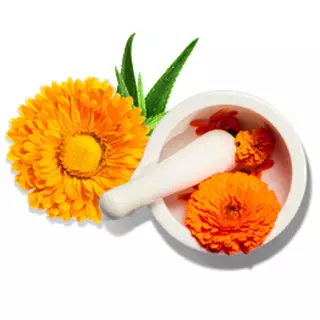 Extracto de Calendula
