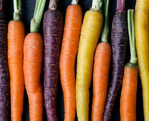 Ingrediente de Kiehl’s Beta Caroteno