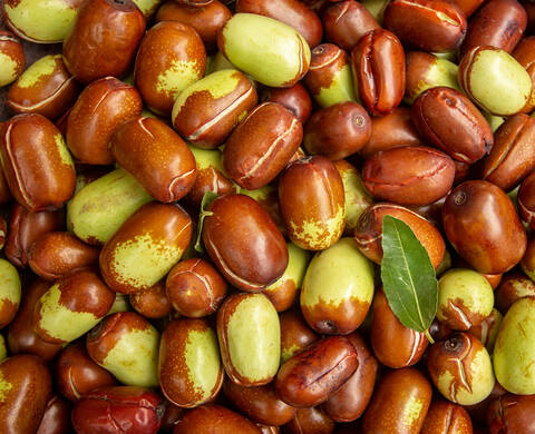 Ingrediente de Kiehl’s Aceite de Jojoba