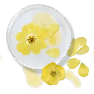 Aceite de Onagra Comun