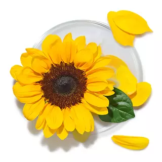 Aceite de Girasol