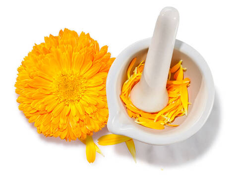 Descubre Los Beneficios Multimilagrosos De La Calendula Para La Piel Kiehl S