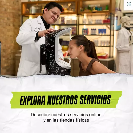 Explora todos los servicios