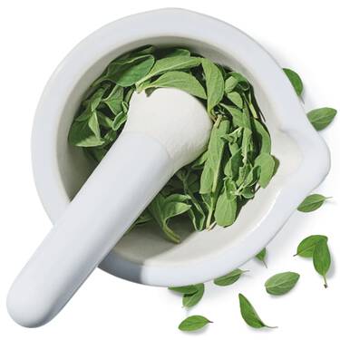Oregano Verde