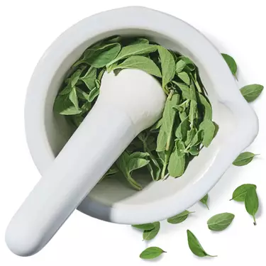 Oregano Verde