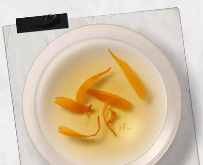 Ingrediente de Kiehl’s Calendula