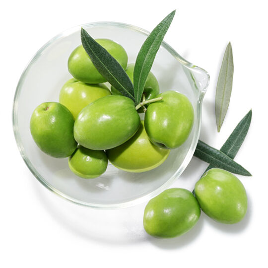 Escualano