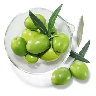 Escualano