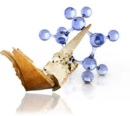 Birch