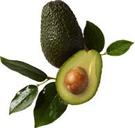 Aceite de aguacate