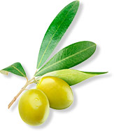 Escualeno